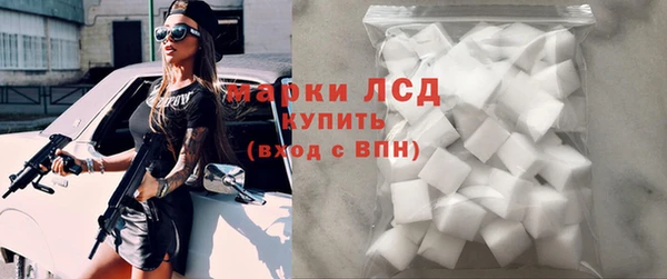 ECSTASY Гусь-Хрустальный