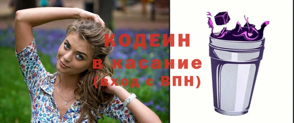 гашик Дмитровск