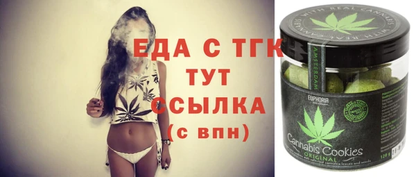 стафф Гусев