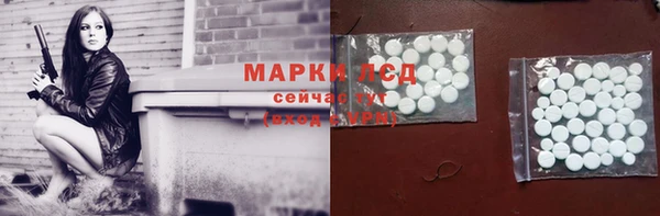 стафф Гусев