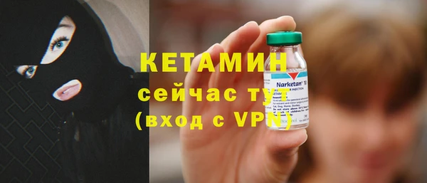 стафф Гусев