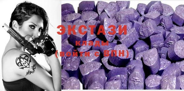 ECSTASY Гусь-Хрустальный