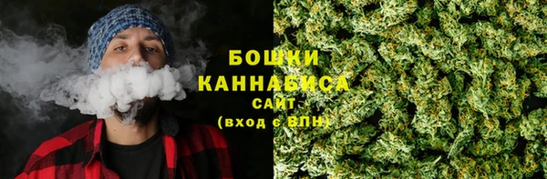 ECSTASY Гусь-Хрустальный