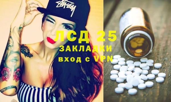 стафф Гусев
