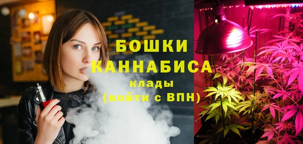 гашик Дмитровск