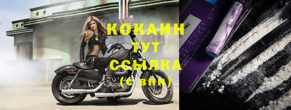 стафф Гусев