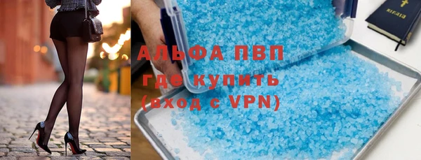 стафф Гусев