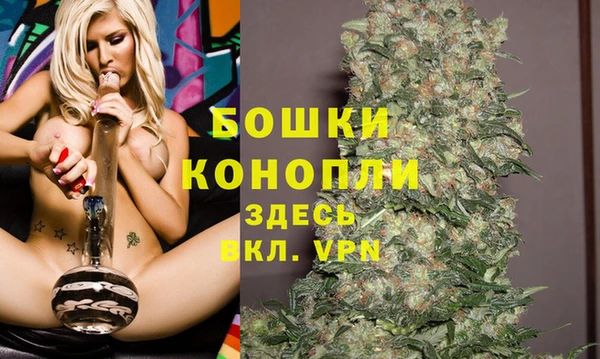 стафф Гусев
