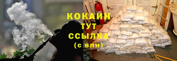кокс Дмитриев