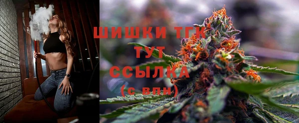 ECSTASY Гусь-Хрустальный